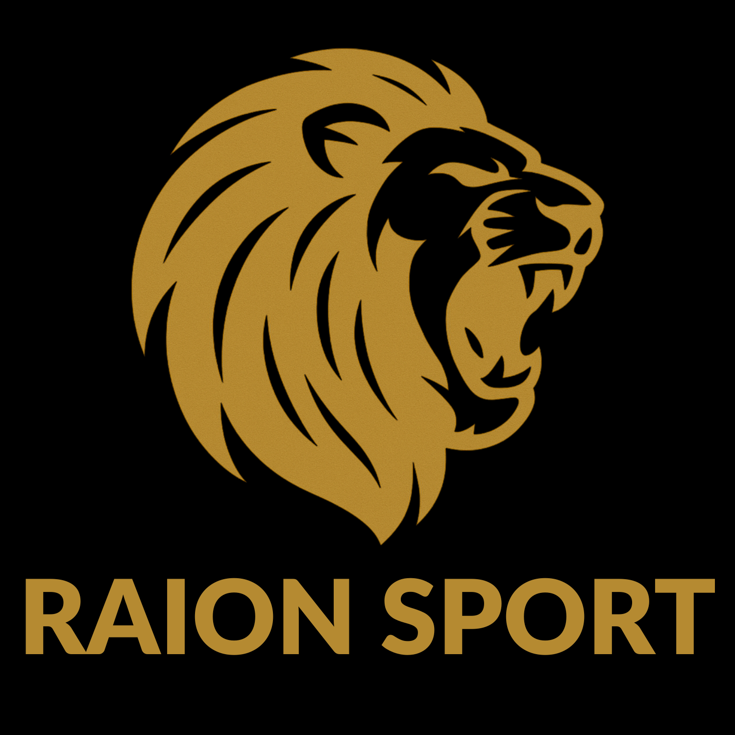Raion Sport